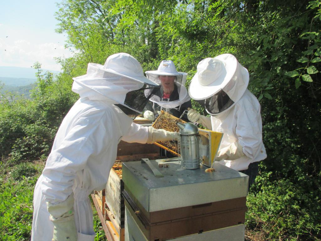 Module 5 Préparer ses ruches à l'hivernage
